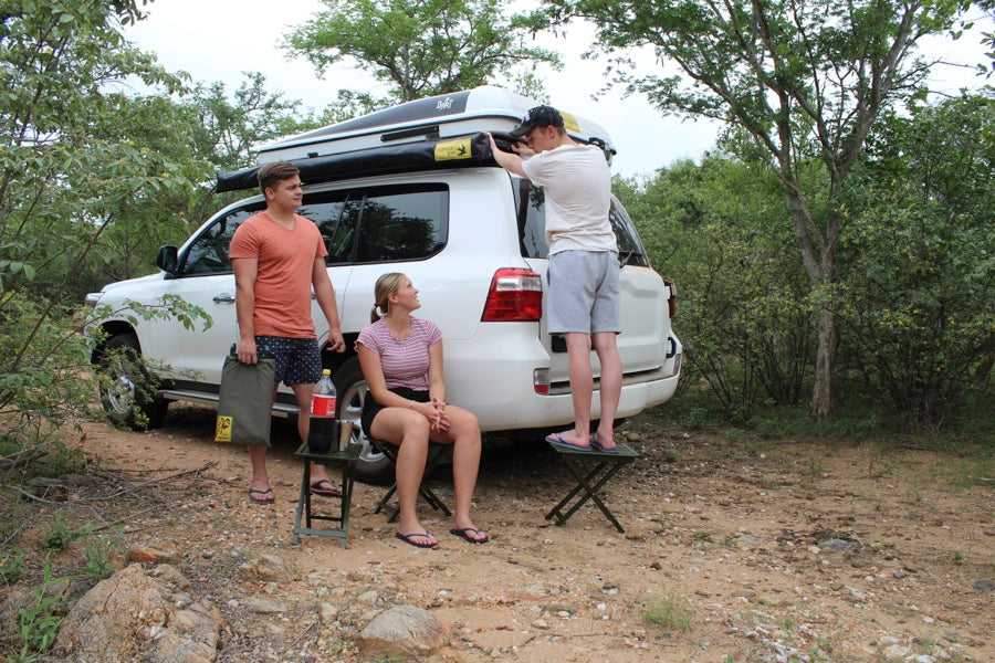 Eezi-Awn K9 Three In One